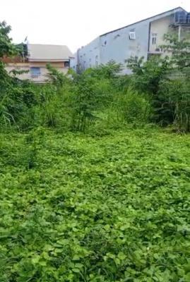 Fenced Land Measuring 432 Sqm Mixed-use