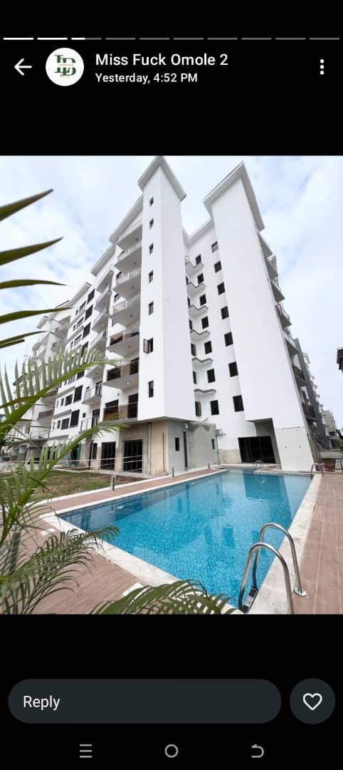 For sale   2 bedroom luxurious apartments with swimming pool, gym  and elevator for sale location  lekkI phase 1 price 200 million  Title  governor concept