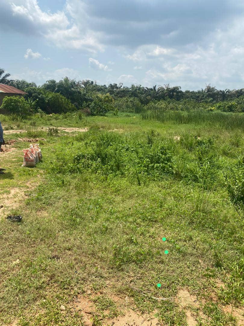 30 Acres of dry land in Magboro off Lagos lbadan Expressway 10 minutes drive from Magboro Minimum purchase 3 acres upward. bus stop to the land Price: #25m per acre
