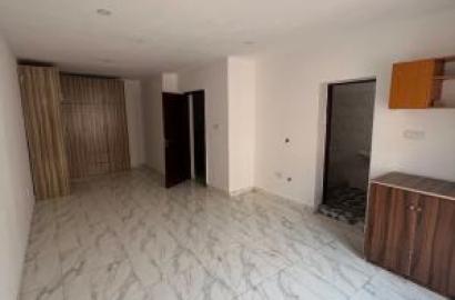 Spacious Studio Apartment With An Open Plan Kitchen