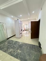 2 bedroom Block Of Flats For Rent Lekki Peninsula Estate Lekki Phase 1 Lagos