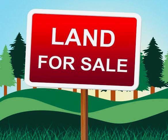 FOR SALE :A prime land measuring 560sq m along Ajanaku street Awuse Opebi Reg Deed  PRICE:₦650m asking
