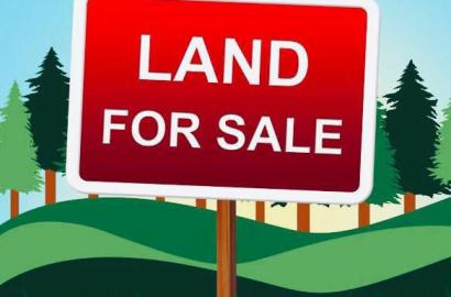 Dry Land Estate With 24/7 Power