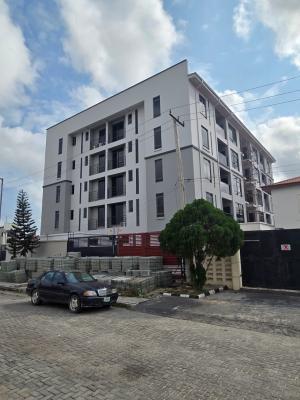 Luxury 3 Bedroom Apartment With Bq And Elevator