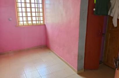 A Nice Room In A Shared Apartment