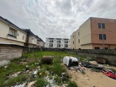 Mixed Used Bare Land Full Plot With Good Title