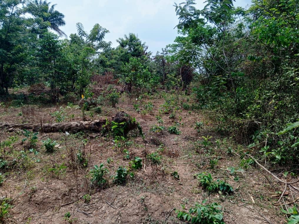 A plot of land for sale at apata Ibadan Oyo state the land is located close to road and has residential property around 2.2m asking price