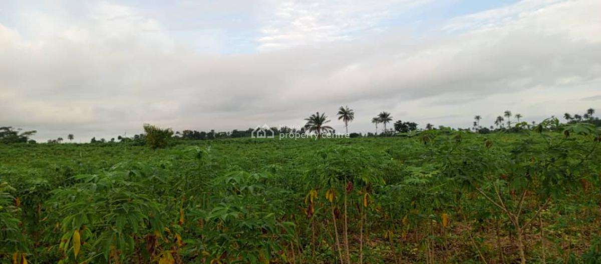 Agricultural Land With Annual Income Commercial land for sale  ₦5,000,000  per acre