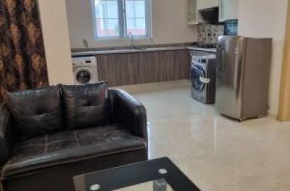 Furnished 1 Bedroom Apartment $56,000