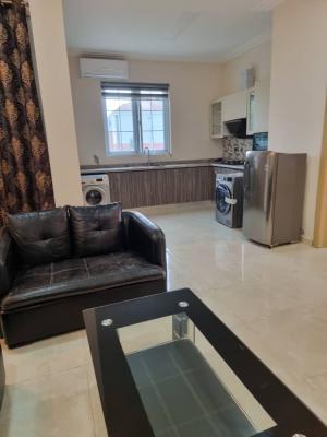 Furnished 1 Bedroom Apartment $56,000